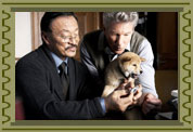 recensione hachiko