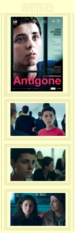 Antigone scheda