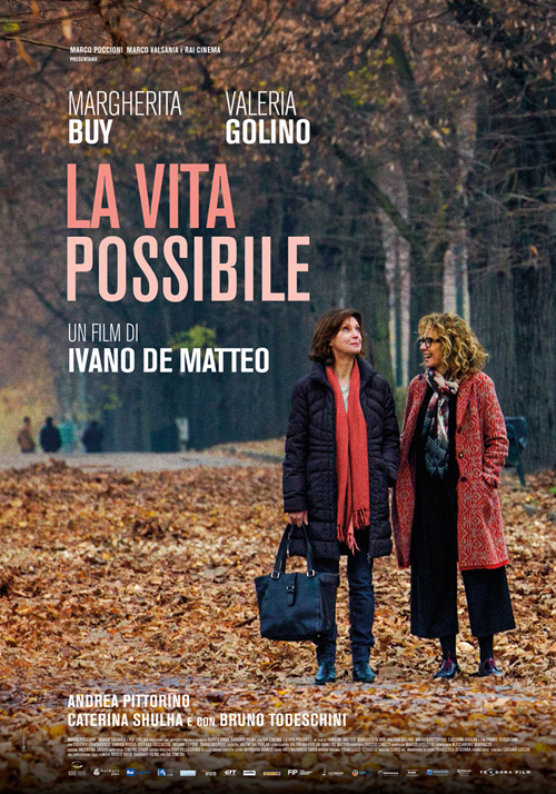 La vita possibile locandina/poster