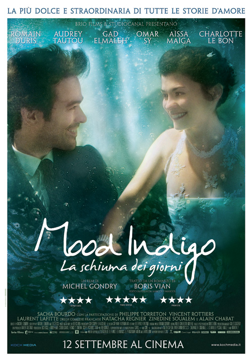 Mood Indigo locandina/poster