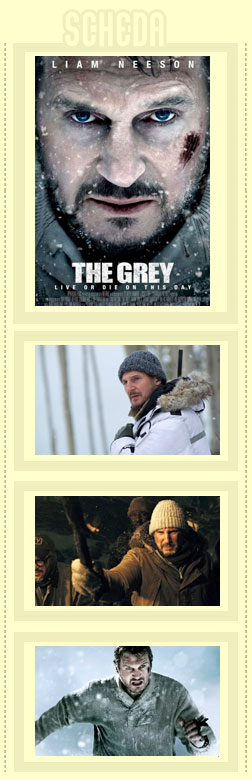 The Grey scheda