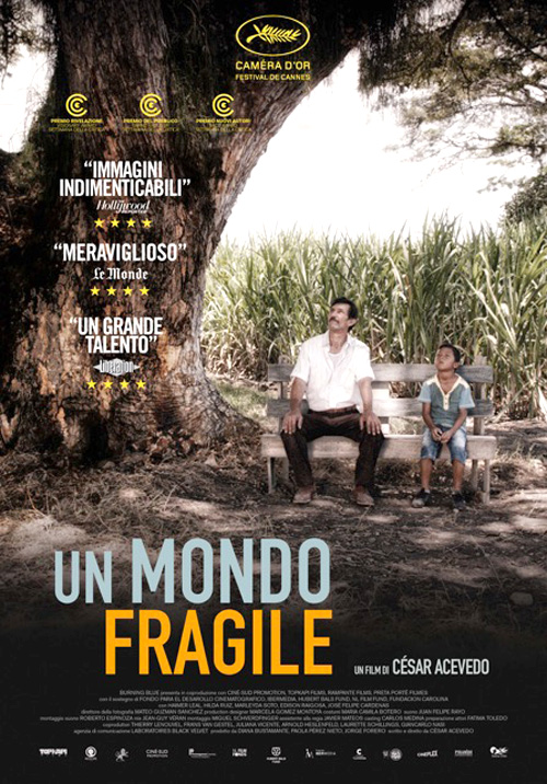 Un mondo fragile locandina/poster